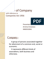 Nature of Company: Companies Act 1956