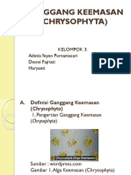 Ganggang Keemasan (Chrysophyta)
