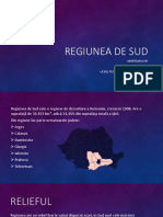 Regiunea-de-sud proiect geografie48 2045820.pptx