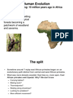 Human Evolution: From Australopiths to Early Homo