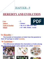 Heredity and Evolution