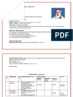 Proiect Didactic, Matematică Def