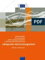 Ghid Campuri Magnetice PDF