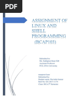 Linux Assignment (Rohit)