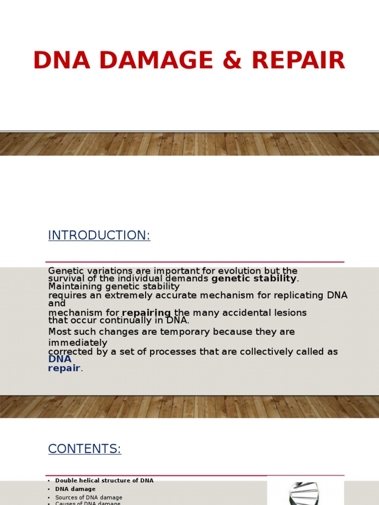 DNA Damage and Repair Mechanisms | PDF | Dna Repair | Dna
