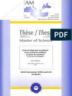 diagnostic strategique (lait).pdf