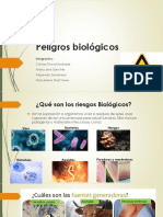 Peligros Biológicos