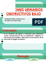 presentacion urologia.pdf