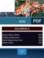 KOI KLMP 6