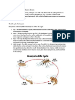 Vectors, Mosquitoes, and The Implications of Diseases
