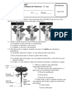 Tes-6-Plantas-2008-319 (1).pdf