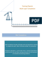 Layer Completion (Pipesim) PDF