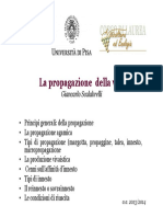 La Propagazione Della Vite Giancarlo Scalabrelli PDF