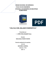 balance energetico.pdf