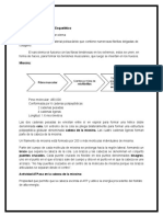 cap 6 7 contraccio muscular.doc