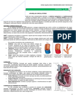 Sistema circulatório e estrutura do coração