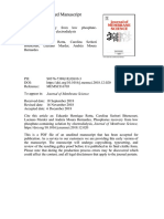 Rotta2019 PDF