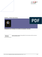 Perfil Profissional - Operadora-de-Sistemas RSU PDF