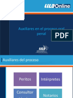 DPU416_S1_Aux en el proceso.ppsx
