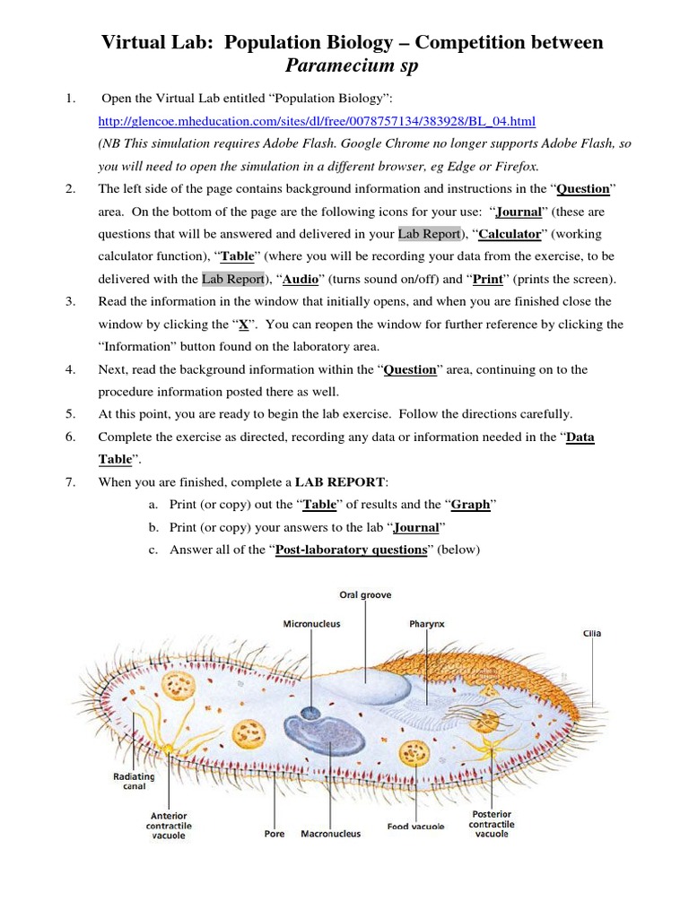 Paramecium Competition Simulation | PDF | Ecology | Ecological Niche