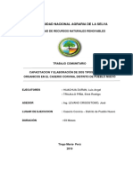 SEGUNA-PPP-PIÑA-HUACHUA-ENCUADERNADO.docx