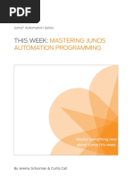 TW_Mastering_Automation_v2.pdf
