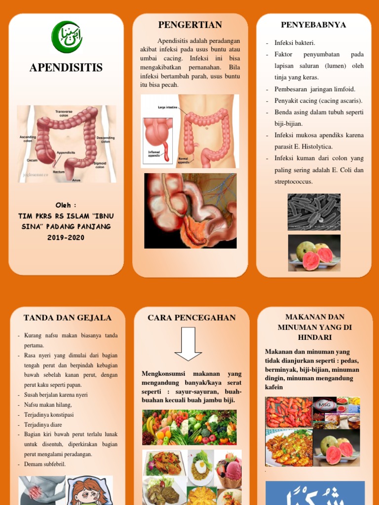 Panduan Lengkap Apendisitis dan Pencegahannya | PDF