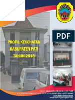 Profil Dinkes Pati PDF