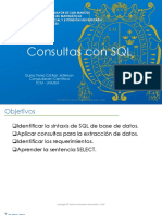 5.consultas Simples PDF