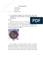 Rsa1c117007 Habib Wijaya - (3) Sistesis Protein 1