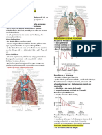 Anatomia e fisiologia do sistema circulatório pulmonar