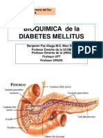 Bioquimica de La Diabetes Mellitus - 2019 Upads