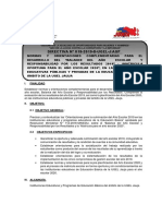 Fc-Directiva N°018-2019-Ugel-J - 3