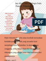 Perubahan Dan ADAPTASI Psikilogis Pada Ibu Haamil Trimester