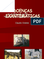 Doenças Exantematicas