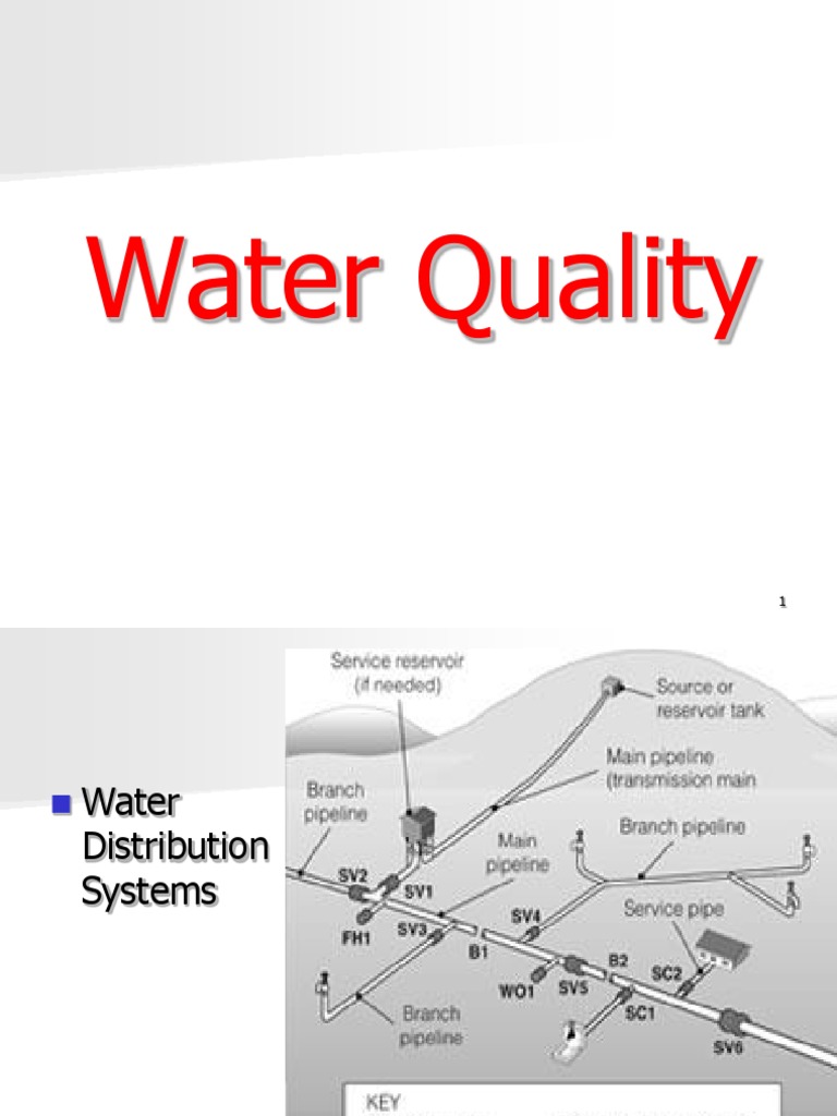 Water Distribution System Overview | PDF | Pipe (Fluid Conveyance) | Valve