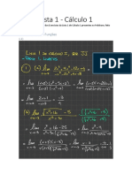 Resolucao 1º Lista Calculo Usp PDF