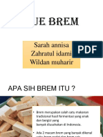 Brem Biotek