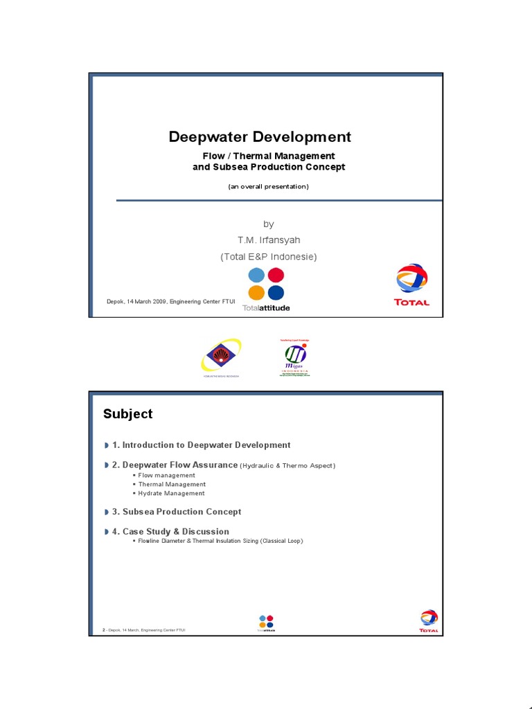 Deepwater Flow Assurance Overview | PDF | Fluid Dynamics | Thermal ...