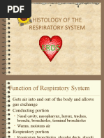 Lecture 1 HISTOLOGY OF THE RESPIRATORY SYSTEM