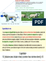 Digestibilidad in Vivo