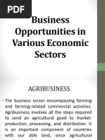 Business Opportunities in Various Economic Sectors