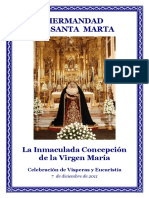 Visperas Inmaculada Concepcion 2011