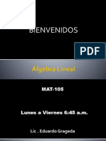 PRESENTACIÓN DEL CURSO Álgebra Lineal