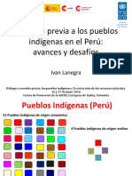 Consulta Previa PDF