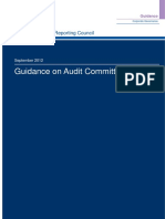 guide on comitee audit.pdf