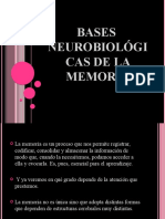 Bases  neurobiológicas de la memoria