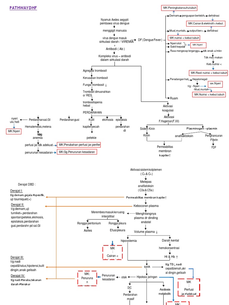 Pathway DBD pada Anak dan Tatalaksana | PDF