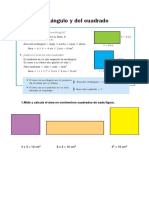 Tema 13. Áreas y Perímetros SOL PDF