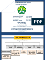 SPH Mesoderm (Jantung Pembuluh Darah)